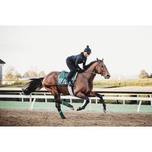 Meet your Posher, Molly